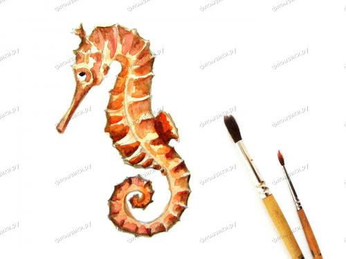 Как нарисовать морского конька