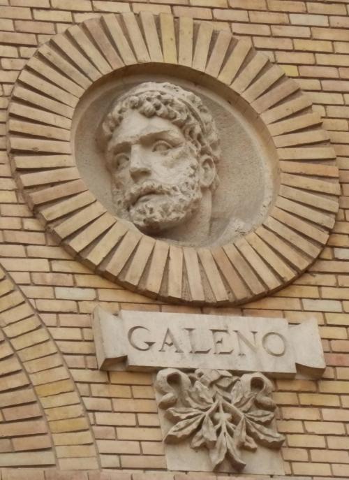Гален философия. Великий медик и философ Гален: исцеляющий словом и делом