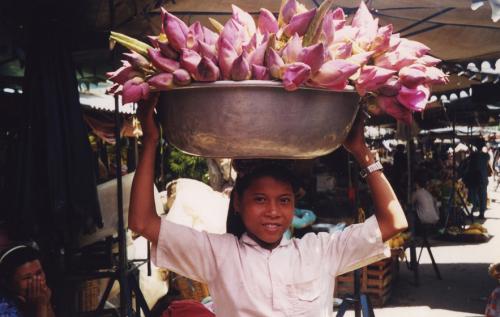 Венерин башмачок интересные факты. Среда обитания 04