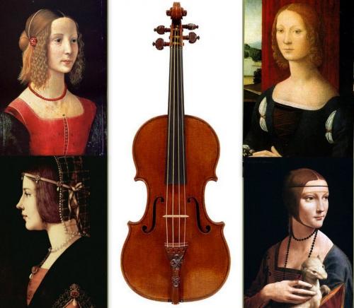 5 интересных фактов о скрипке. Семь фактов о скрипке