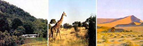 Климатические пояса кратко. Климатические пояса и типы климатов Земли: