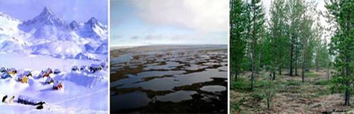 Климатические пояса кратко. Климатические пояса и типы климатов Земли: