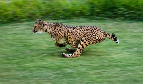 Самые необычные путешествия. Самые необычные экскурсии мира