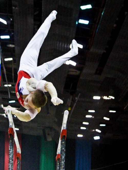 Интересные факты спортивная гимнастика. Любопытные факты о спортивной гимнастике 09