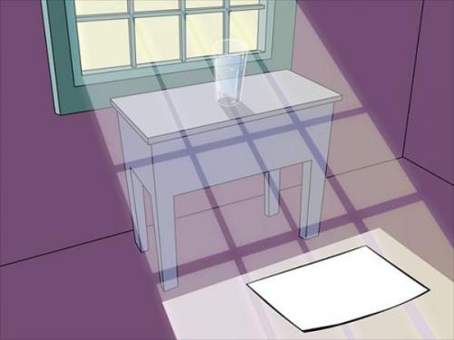 Факты о цветах. 17 интересных фактов о цветах. 07