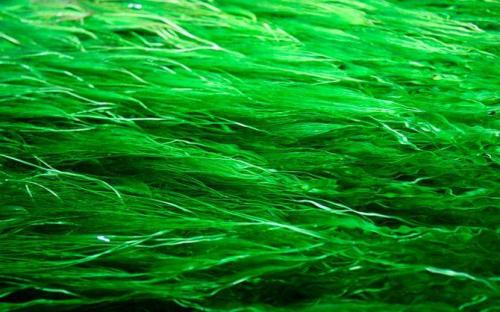 О работе факты. 10 фактов о трудовом законодательстве в разных странах мира 15