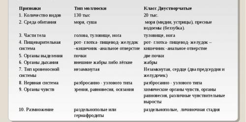 Двустворчатые моллюски. Кто такие двустворчатые моллюски