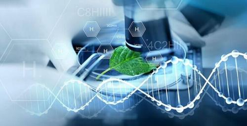 Интересные факты о химических элементах в организме человека. Интересные и занимательные факты о некоторых химических элементах