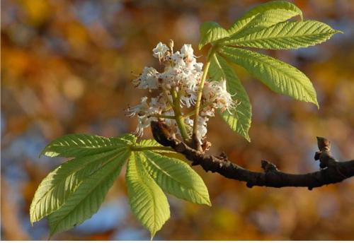 Климат интересные факты. Интересные факты о погоде и метеорологии (дата!) 06