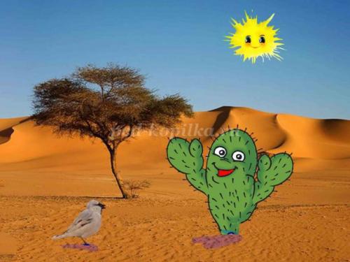 Кактус интересные факты. 10 интересных фактов о, кактусах 12