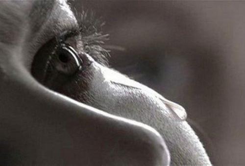 Разные интересные факты обо всем на свете.