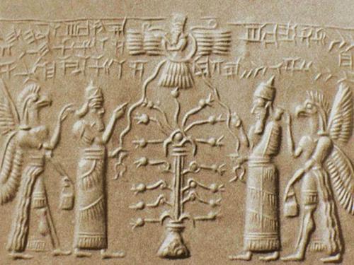 Евразия интересные факты о материке. Интересные факты о Евразии + Видео