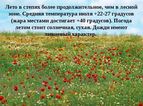 Интересные факты о степи