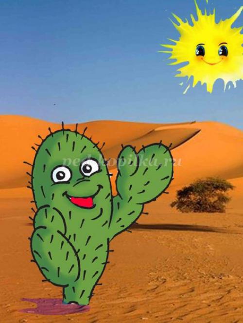 Кактус интересные факты. 10 интересных фактов о, кактусах 11