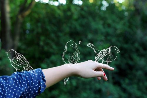 Климат интересные факты. Интересные факты о погоде и метеорологии (дата!) 09