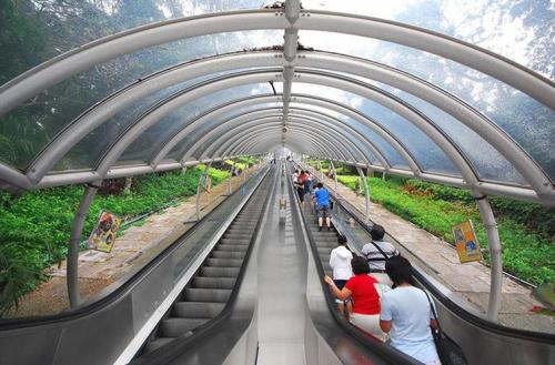 Интересные вопросы о транспорте. Викторина «Как мы знаем транспорт» 02