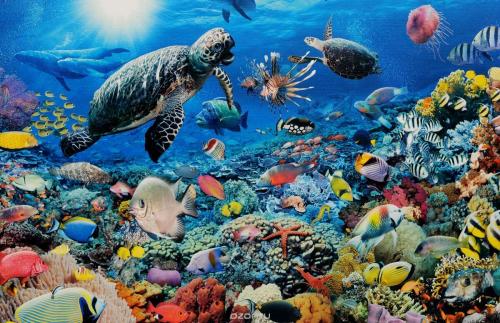 Интересные факты про рельеф. 12 интересных фактов о таинственном Мировом океане