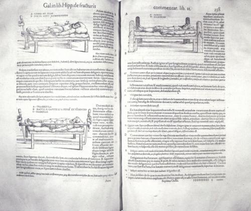 Гален философия. Великий медик и философ Гален: исцеляющий словом и делом