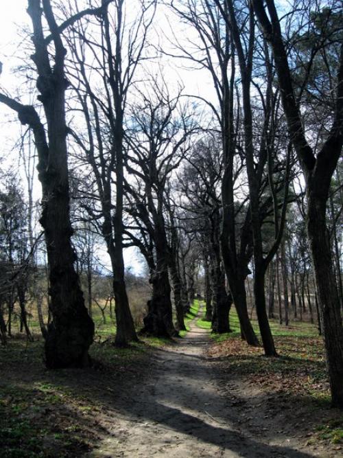 Пирогов винница. Музей Пирогова в Виннице