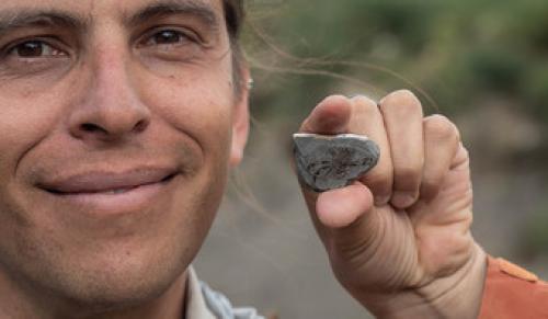 Глаза краба. У древнего краба были огромные глаза и странный рот