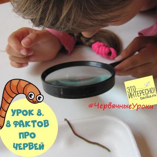 Интересные факты о червях. Червячные уроки. Уро.  Интересные факты про дождевых червей для детей