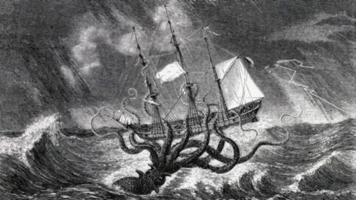 Кальмар где обитает. Кальмары — интересные факты 05