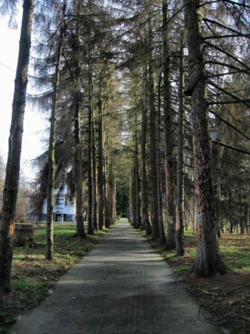 Пирогов винница. Музей Пирогова в Виннице