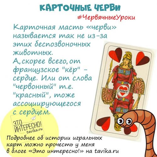 Интересные факты о червях. Червячные уроки. Уро.  Интересные факты про дождевых червей для детей