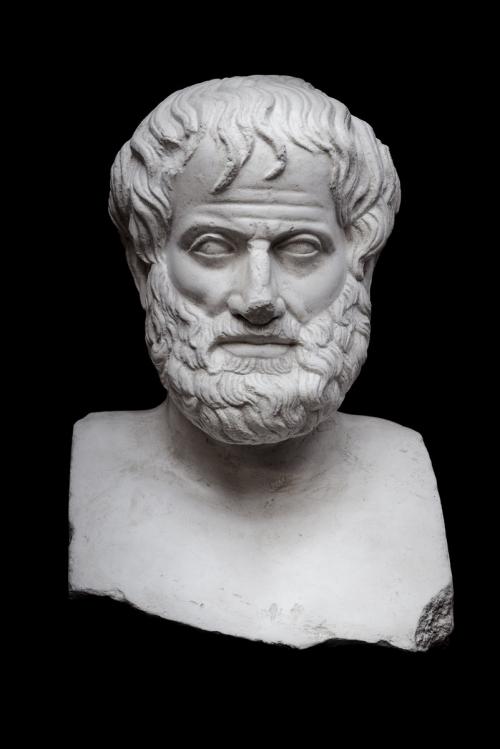 Аристотель биография. Незнакомый Аристотель: чего вы не знали о жизни и смерти великого ученого?