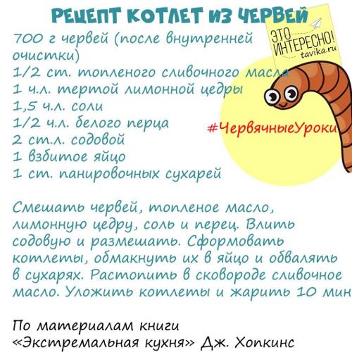 Интересные факты о червях. Червячные уроки. Уро.  Интересные факты про дождевых червей для детей