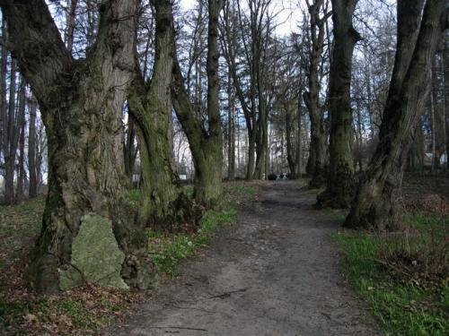 Пирогов винница. Музей Пирогова в Виннице