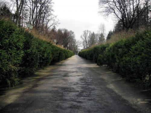 Пирогов винница. Музей Пирогова в Виннице