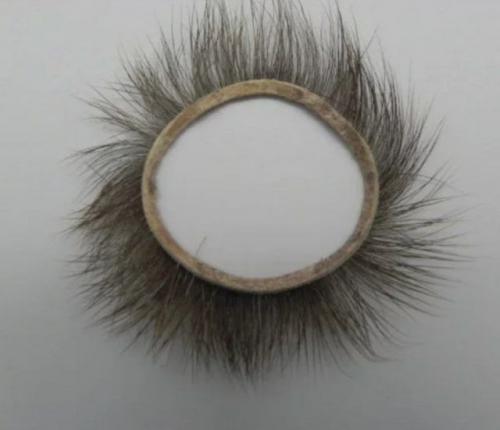 Интересные факты из истории России 18 века. Писалом по бересте. Любопытные факты из истории образования в России 04