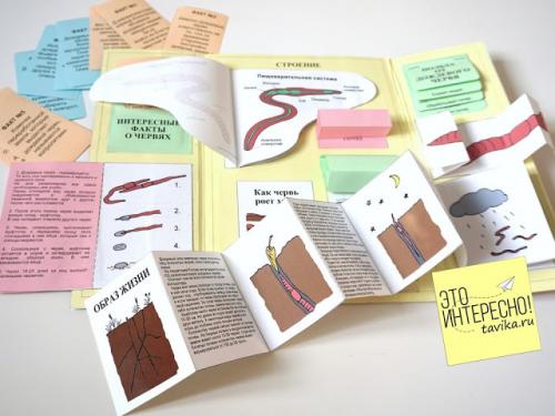 Интересные факты о червях. Червячные уроки. Уро.  Интересные факты про дождевых червей для детей