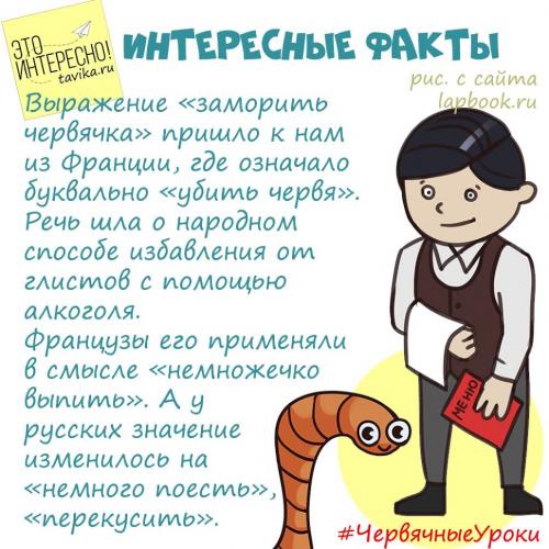 Интересные факты о червях. Червячные уроки. Уро.  Интересные факты про дождевых червей для детей