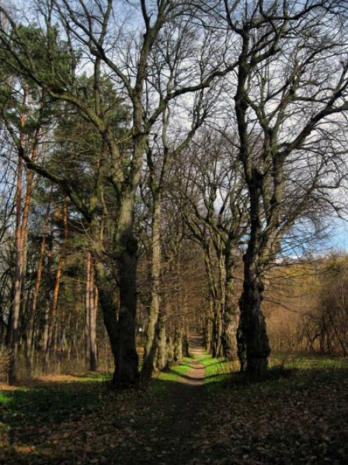 Пирогов винница. Музей Пирогова в Виннице