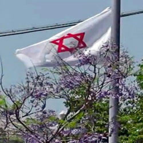 Интересные факты о здравоохранении. Необычные факты о медицине Израиля