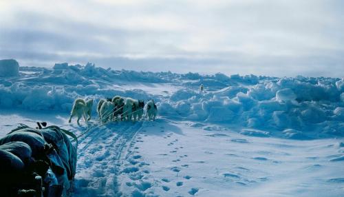 Интересные факты про рельеф. 12 интересных фактов о таинственном Мировом океане