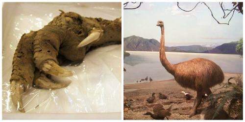 Интересные факты про планету. Интересные факты о Меркурии: особенности, загадки, исследования 11