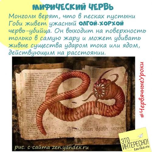 Интересные факты о червях. Червячные уроки. Уро.  Интересные факты про дождевых червей для детей