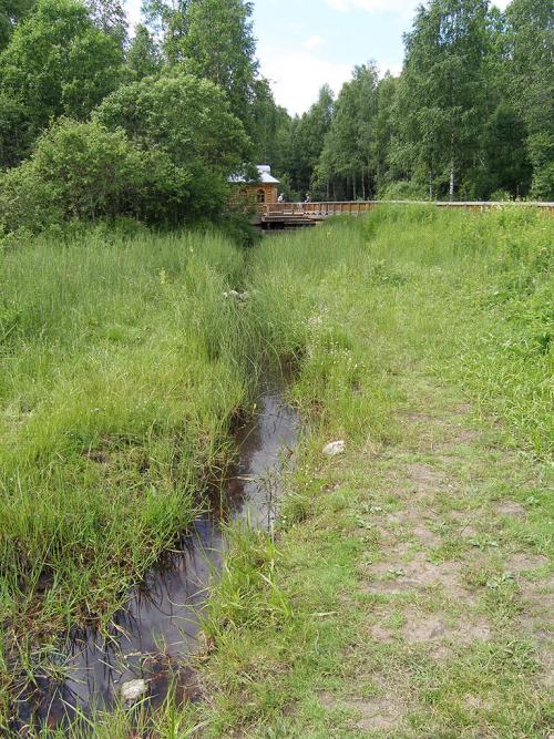 Река волга. Где берет начало Волга?