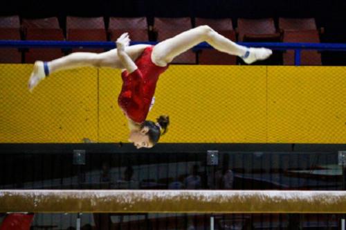 Спортивная гимнастика интересные факты. Любопытные факты о спортивной гимнастике 13