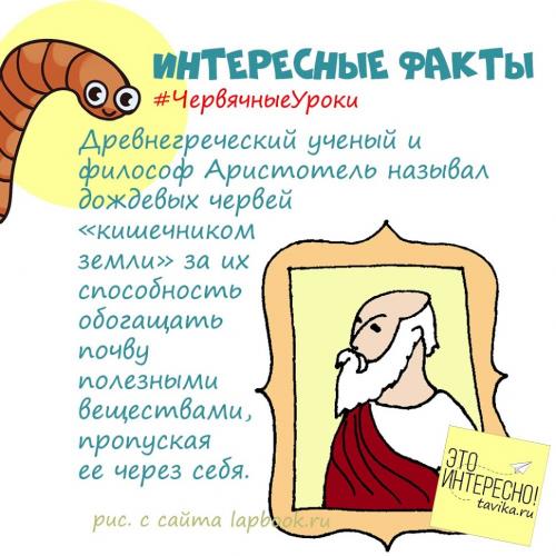Интересные факты про червей. Червячные уроки. Уро.  Интересные факты про дождевых червей для детей