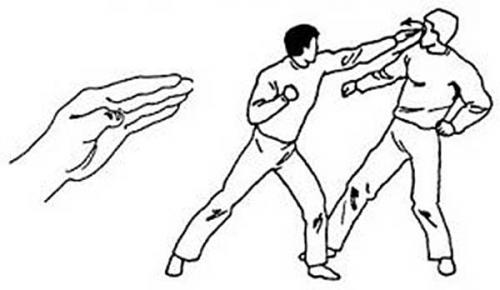 Анатомия человека болевые точки. Самые уязвимые зоны человека: где расположены на теле, подробная схема