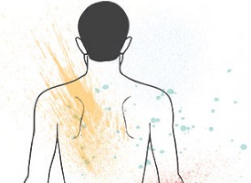 Сколько бактерий в организме человека. Сколько бактерий живет в человеке