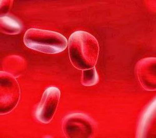 Сколько клеток насчитывается в организме взрослого человека? Сколько клеток в организме человека? Какие из них самые важные? 01 Сколько клеток насчитывается в организме взрослого человека? Сколько клеток в организме человека? Какие из них самые важные? 01