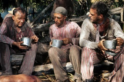 Человек мотылек чем заканчивается. Мотылек