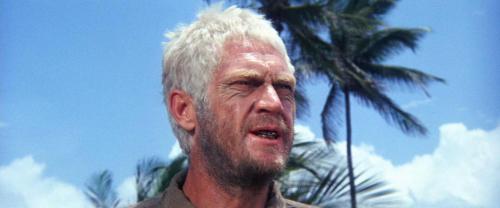 Человек мотылек чем заканчивается. Мотылек