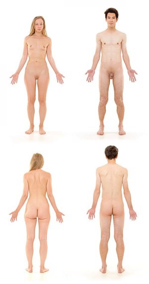 Сколько клеток насчитывается в организме взрослого человека? Сколько клеток в организме человека? Какие из них самые важные? 08 Сколько клеток насчитывается в организме взрослого человека? Сколько клеток в организме человека? Какие из них самые важные? 08