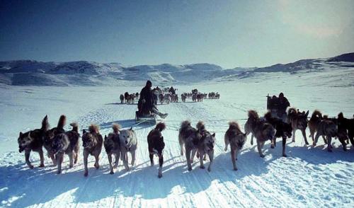 Интересные факты о народах России. Народы России, которые скоро иcчезнут (9 фото)